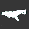 Ancient Aquatic Reptile With Scaly Skin Long Snout And Flipper Limbs