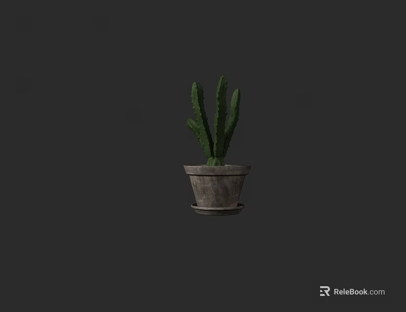 Green Cactus Potted Plant in Clay Pot for Indoor Decoration on Dark Background 3d model 