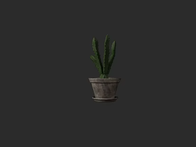 Green Cactus Potted Plant in Clay Pot for Indoor Decoration on Dark Background 3d model