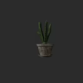 Green Cactus Potted Plant in Clay Pot for Indoor Decoration on Dark Background