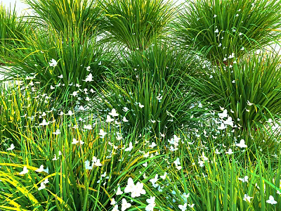 Lush Green Grass Field With Tiny White Flowers In Natural Outdoor Environment 3d model