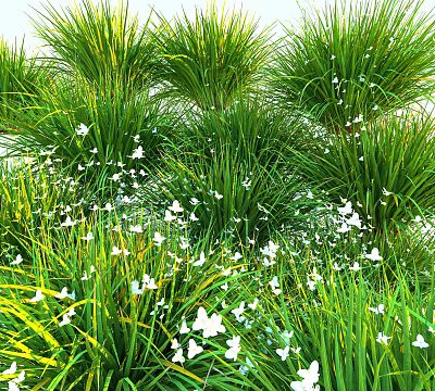 Lush Green Grass Field With Tiny White Flowers In Natural Outdoor Environment 3d model