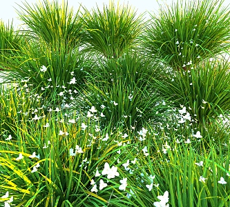 Modern Grass 3d model