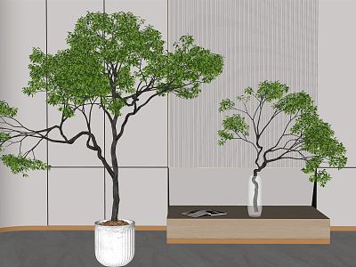 Modern potted green plant bonsai green plant combination model