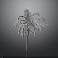 Silver Palm Tree with Feathery Fronds and Brown Trunk on Neutral Grey Background