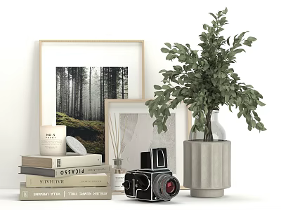 Stylish Decorative Ornament Set With Framed Pictures Stacked Books Vintage Camera And Potted Plant 3d model