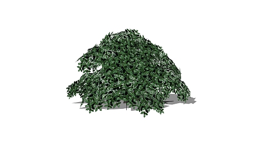 Garden Courtyard Shrubs Landscape Trees 3d model