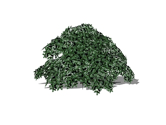 Garden Courtyard Shrubs Landscape Trees 3d model