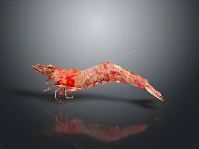 Fresh Red Raw Shrimp Seafood Isolated On Dark Background With Reflection 3d model