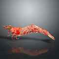 Fresh Red Raw Shrimp Seafood Isolated On Dark Background With Reflection 3d model