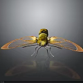 Yellow Insect With Orange And Blue Textured Wings On Grey Gradient Background With Reflection 3d model