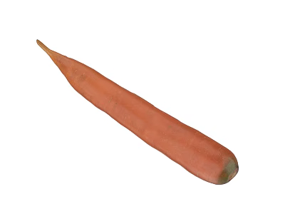 Fresh Organic Raw Carrot Healthy Vegetable for Balanced Diet and Nutrition 3d model