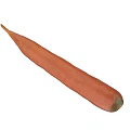 Fresh Organic Raw Carrot Healthy Vegetable for Balanced Diet and Nutrition
