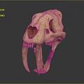 Medical Device Anatomical Skull Model as Educational Tool for Medical Training and Research