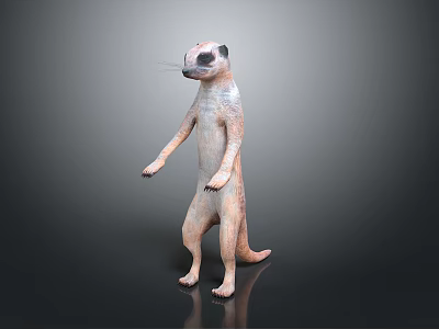 Meerkat Standing Upright With Light Brown Fur And Dark Facial Markings Against Simple Dark Background 3d model