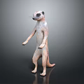 Meerkat Standing Upright With Light Brown Fur And Dark Facial Markings Against Simple Dark Background 3d model