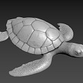 Turtle Turtle 3d model