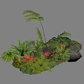 Lush Natural Garden Display With Green Ferns Red Foliage And Rock