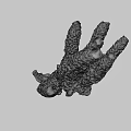 Brown Branched Marine Organism With Detailed Textured Surface And Natural Structure