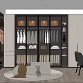 Modern Elegant Walk in Closet Interior with Glass Door Wardrobe Open Storage Dressing Table Bench