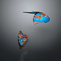 Two Vibrant Blue And Orange Butterflies Flying On Gray Background