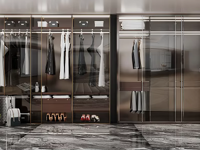 Modern Wardrobe With Glass Doors Hanging Clothes Drawers And Shoe Storage 3d model