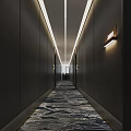 Modern Hotel Corridor Interior With Ceiling Strip Lights And Patterned Carpet