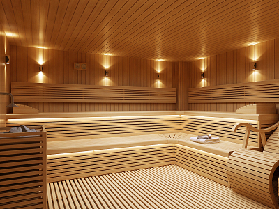 Modern Sauna Room 3d model