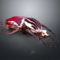 Shiny Red And White Striped Beetle With Long Antennae On Dark Background 3d model