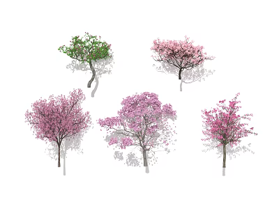 Different Types Of Flowering Arbor Trees Featuring Green And Pink Blossoms 3d model