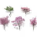 Different Types Of Flowering Arbor Trees Featuring Green And Pink Blossoms