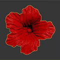 Vibrant Red Flower with Detailed Petals and Long Stem on Dark Background