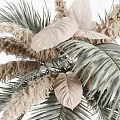 Elegant Dried Pampas Grass Palm Leaves And Wheat Ears Home Decor Arrangement