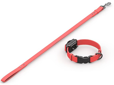 Red Pet Collar And Leash With Black Buckle For Small To Medium Pets 3d model