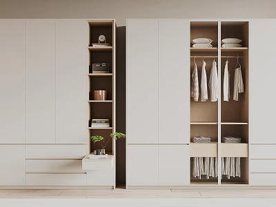 Modern White Wardrobe Design With Wooden Interior Drawers Hanging Rod And Side Shelf With Plants 3d model