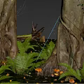 Big Tree Forest Landscape Forest Landscape Ancient Tree Plant Landscape Trees Vegetation 3d model