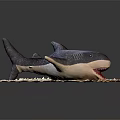 Dark Colored Shark Stuffed Toy With Open Mouth White Teeth On Round Sandy Base
