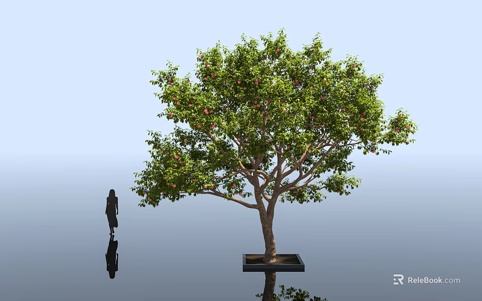 Arbor With Green Leaves Red Fruits On Square Base Beside Human Silhouette And Reflection 3d model 
