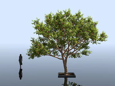 Arbor With Green Leaves Red Fruits On Square Base Beside Human Silhouette And Reflection 3d model
