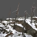 Beautiful Winter Landscape With Snow Covered Rocks And Bare Trees In Nature