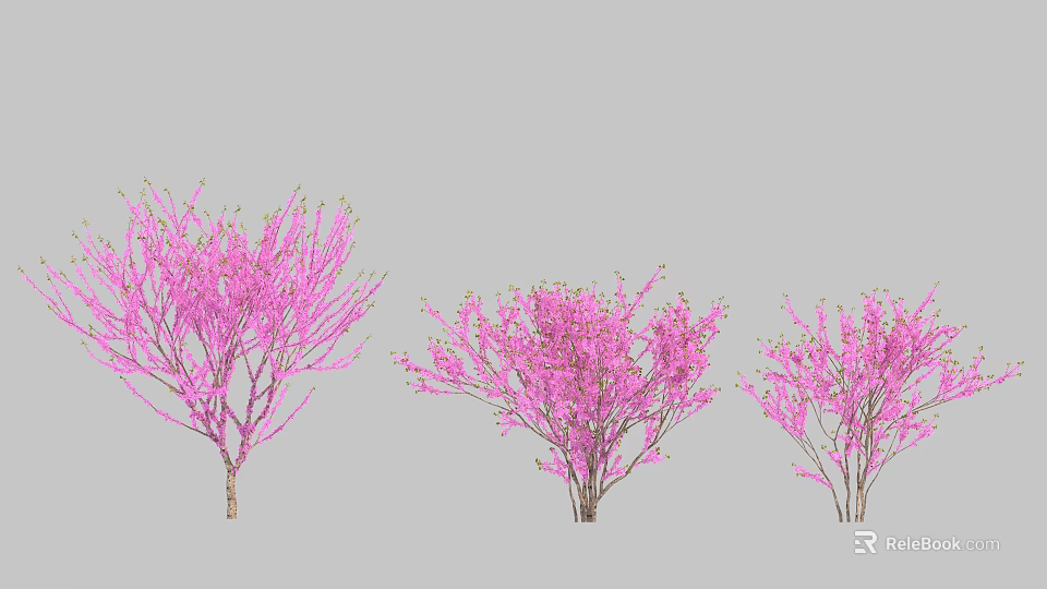 Three Flowering Trees With Pink Blossoms For Garden Decoration 3d model 