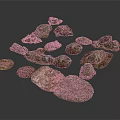 Collection of Natural Stone Materials with Various Shapes and Colors