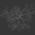 Bare Tree With Thick Trunk Spreading Branches And Human Silhouette On Black Background 3d model
