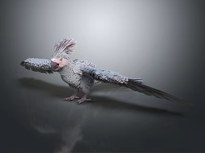 Grey Cockatoo with Pink Face and Spread Wings Standing on Reflective Surface 3d model