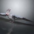 Grey Cockatoo with Pink Face and Spread Wings Standing on Reflective Surface