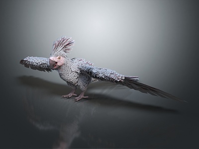 Modern Parrot Xuan Feng Parrot Budgie Shang Parrot 3d model