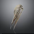 Detailed Bird Skull Organ Structure With Natural Bone Texture And Features