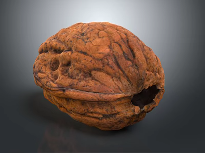 Whole Walnut With Shell Natural Texture And Cracked Open Close Up Healthy Snack 3d model