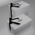 Elegant Jewelry Ornament Combination with White Gift Box and Black Bowknot Decorative Set