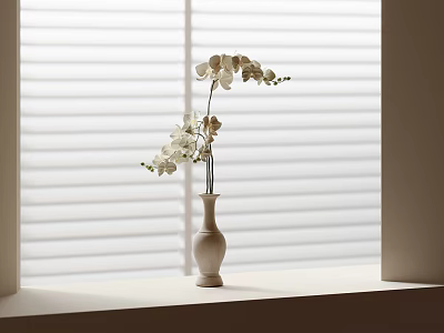 White Orchid Flowers In Light Colored Vase On Windowsill With White Blinds 3d model